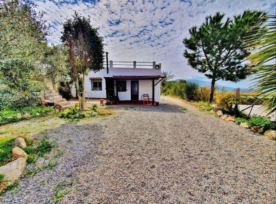 Loft Rural Leilighet Granada Eksteriør bilde